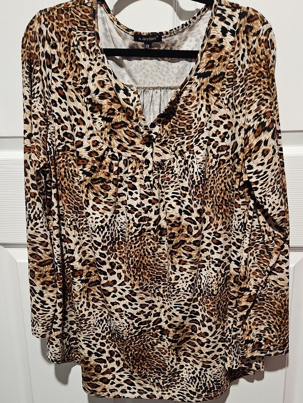 Brown Leopard Print Long Sleeve V-Neck Top